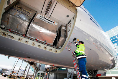 Frankfurt Airport passenger traffic continues to rise but cargo falls