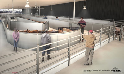 Work begins on The Ark animal handling centre at JFK