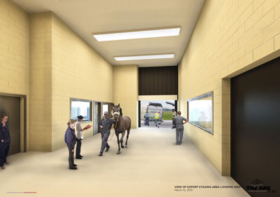 Work begins on The Ark animal handling centre at JFK