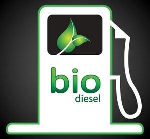 Bio Diesel