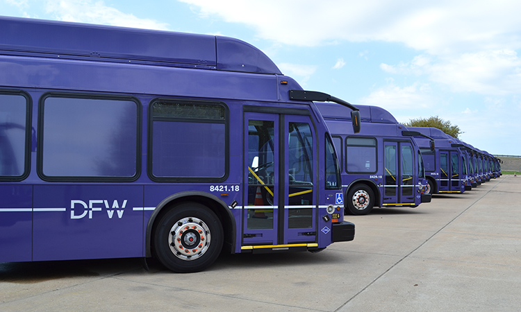 DFW bus fleet