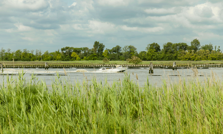 Ahead of his participation in IAR’s Energy Revolution webinar, Davide Bassano, Director of Sustainability at Gruppo SAVE shares how Venice Marco Polo Airport will eliminate scope 1 and 2 emissions by 2030 and become one of the largest renewable energy platforms in the metropolitan area.