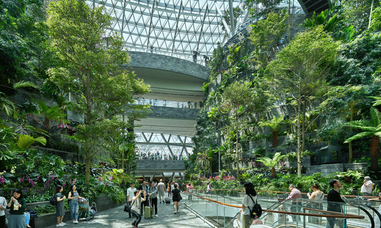 The design behind Jewel Changi