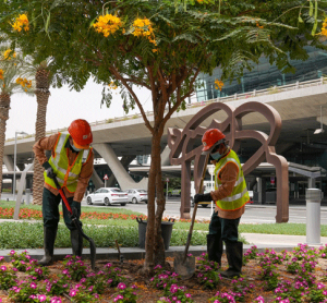 Hamad International Airport sets the standard for green airports