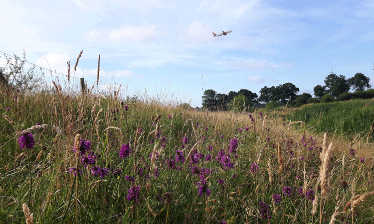 International Airport Review caught up with London Gatwick’s Biodiversity Advisor, Rachel Bicker, to learn about the work of the airport’s Biodiversity Action Plan and how it aims to protect and encourage biodiversity on 75 hectares of its land. 