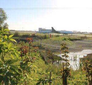 London Stansted Airport launches Biodiversity Week