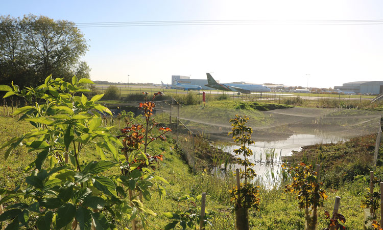 London Stansted Airport launches Biodiversity Week