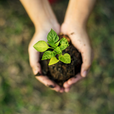 Earth Day Sustainable Airport Environment