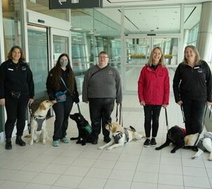 Toronto guide dogs