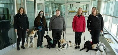 Toronto guide dogs