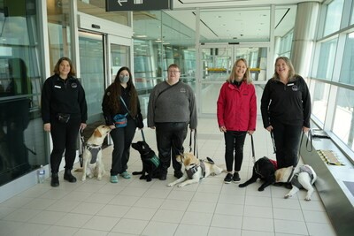 Toronto guide dogs