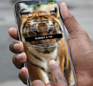 New reporting app helps combat wildlife trafficking in the aviation industry