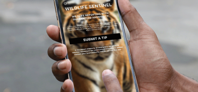 New reporting app helps combat wildlife trafficking in the aviation industry