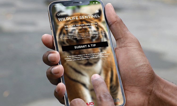 New reporting app helps combat wildlife trafficking in the aviation industry