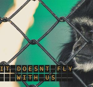 New campaign sees aviation stepping up to protect threatened wildlife