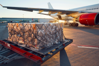 For International Airport Review, Ooi Mei Ying (Mei), Head of Strategy & Business Transformation at Raya Airways, outlines how airports can capitalise on the opportunity that air cargo presents.