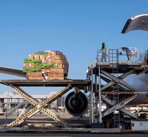 Amsterdam Airport approves digital declarations to streamline cargo chain