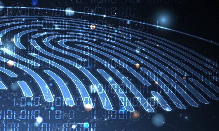 Fingerprint-based drug test accelerates identification of drug mules