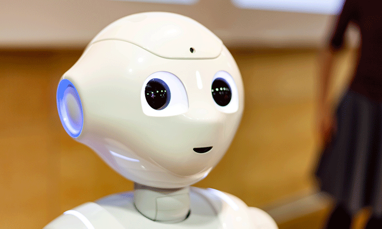Humanoid Robots Begin Operating In Christchurch Airport S Terminal