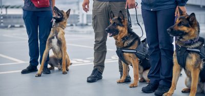 Qatar sniffer dogs hong kong