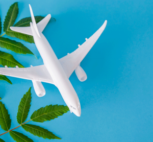 Long-term aviation decarbonisation goals being set by governments