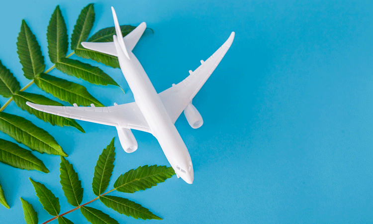Long-term aviation decarbonisation goals being set by governments