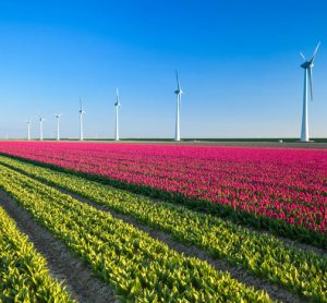 wind-farm