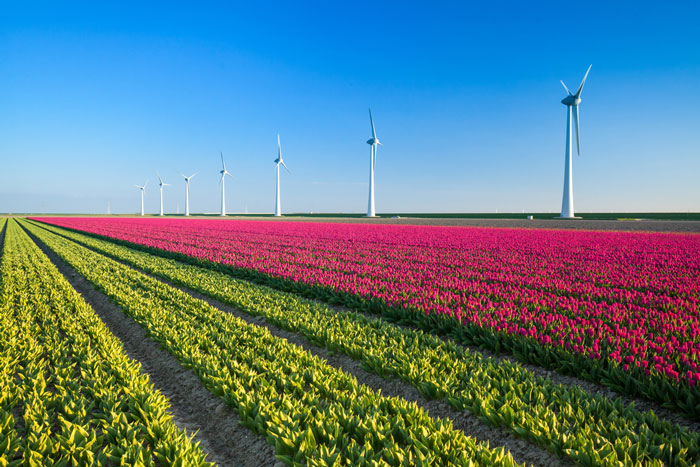 wind-farm