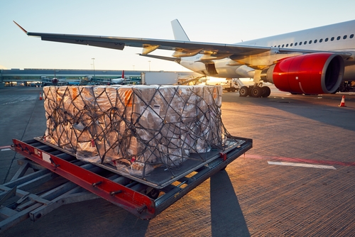 IATA air cargo priorities