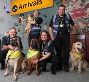 Therapy dog service introduced by Southampton Airport