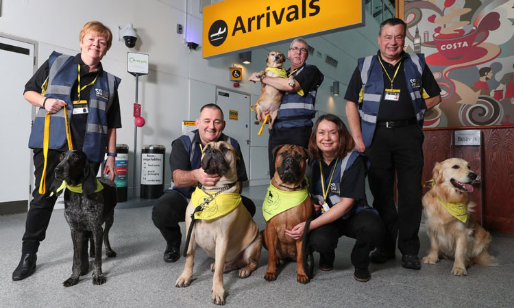 Therapy dog service introduced by Southampton Airport